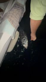 Mehr als alle W\u00fcnsche erf\u00fcllt\ud83d\udc4d