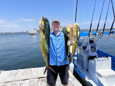 Mahi Mahi! 