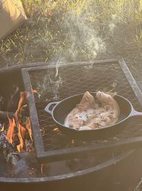 Amazing trout fishing 