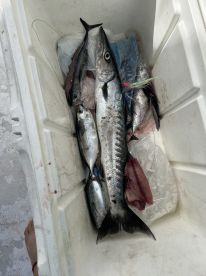 Best Fishing trip so far!!