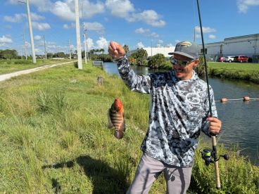 Had a great time with Captain Keith took his land fishing price was awesome we caught peacocks maylans even hooked and caught   tarpon