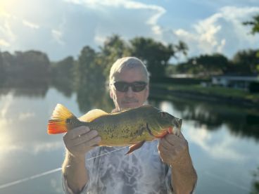 Had a great time with Captain Keith took his land fishing price was awesome we caught peacocks maylans even hooked and caught   tarpon