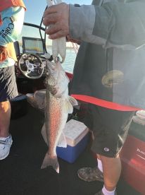 August fishing trip