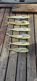 August fishing trip