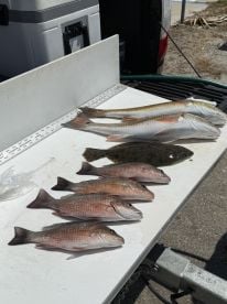 Wonderful day on the water 