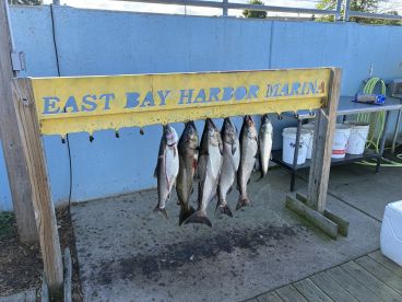 Caught lots of fish!