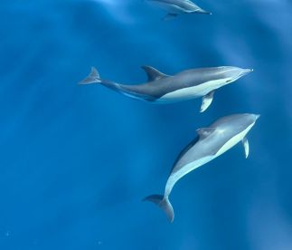 A perfect trip for anglers and non-anglers too