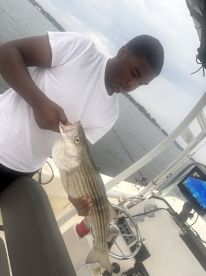 The Best Experience Ever