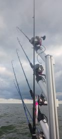 Wonderful fishing charter experience 