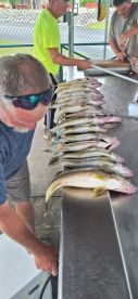 Fish on