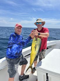 Mahi