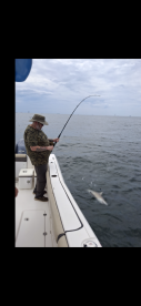 Put us on the fish