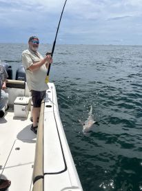 Put us on the fish