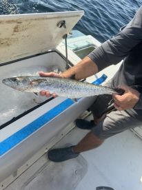 Unforgettable Fishing Trip – Caught a Shark!