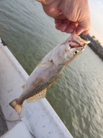 Great Day on the Bay