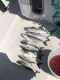 August 2025 Fishing Trip
