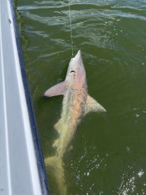 August 2025 Fishing Trip
