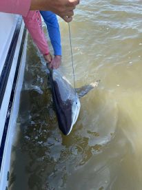 August 2025 Fishing Trip