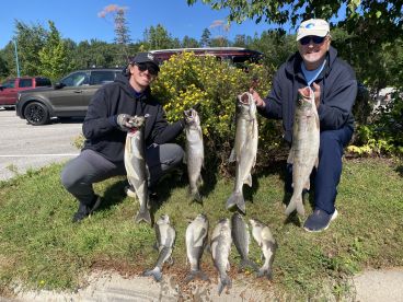 Got the limit
