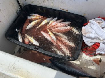 August fishing trip