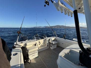 Captain Mark is the best! 