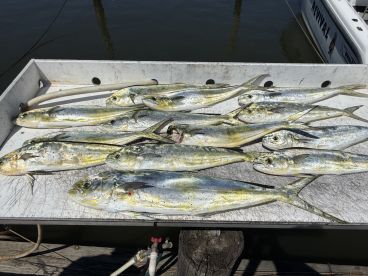 August fishing trip