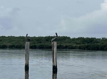 Excellent Service and Effort!!!