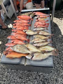 Great day fishing. 