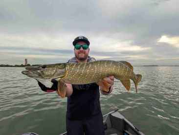 great Fishing at Hollands Diep