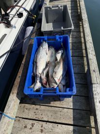 Great day for fishing!! 