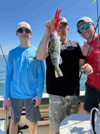 Found the halibut