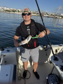Lisbon Fish