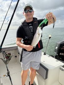 Lisbon Fish