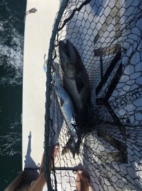 Great time, great people, great fishn