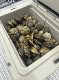  \u2b50\ufe0f\u2b50\ufe0f\u2b50\ufe0f\u2b50\ufe0f\u2b50\ufe0f  What a great day! 