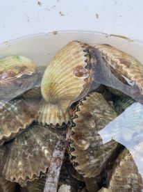  \u2b50\ufe0f\u2b50\ufe0f\u2b50\ufe0f\u2b50\ufe0f\u2b50\ufe0f  What a great day! 