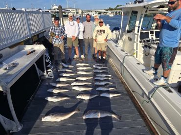 Put us on 2 citation tile fish