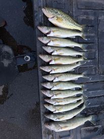 August fishing trip