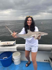 Afternoon Shark trip- Great Time