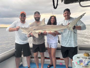 Afternoon Shark trip- Great Time