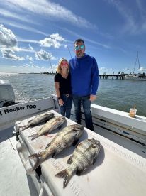 Captain Will is great!