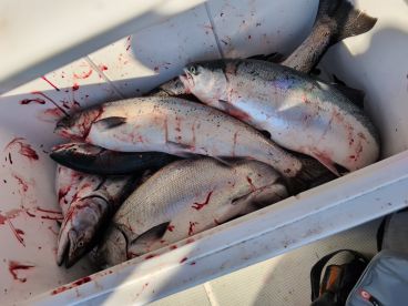 Third trip with Nick