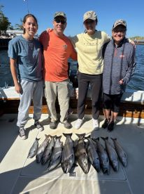 Amazing! Would definitely book again!