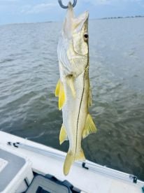 Unforgettable Fishing Trip \ud83c\udfa3 