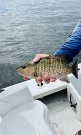 Unforgettable Fishing Trip \ud83c\udfa3 