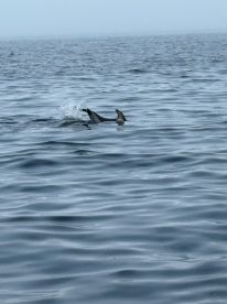 Beautiful sights, knowledgeable guide 