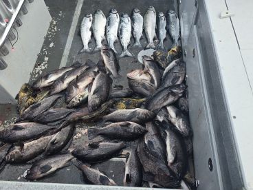 Fishing was hot
