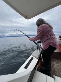 Great Day Out of Homer