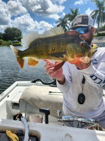 check out the size of my Peacock Bass