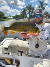 check out the size of my Peacock Bass